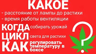 КОГДА СОБИРАТЬ УРОЖАЙ МАРИХУАНЫ? / ВРЕМЯ РАБОТЫ ВЕНТИЛЯЦИИ / ТЕМПЕРАТУРА В ГРОУБОКСЕ / ЦИКЛ СВЕТА