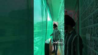 Green net for protection from sun ☀️.