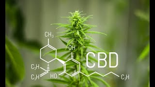Cbd