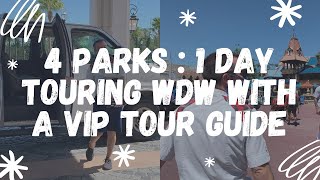 Four Parks in One Day: Walt Disney World with a VIP Tour Guide