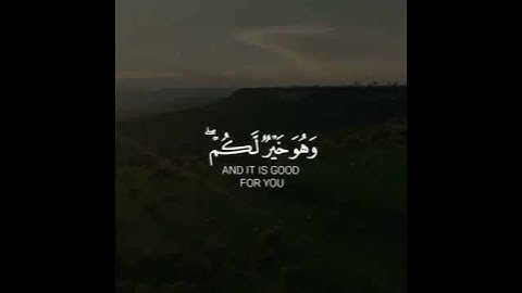 تلاوه خاشعه | بصوت القارئ ماهر المعيقلي | حالات واتس اب♥♥.