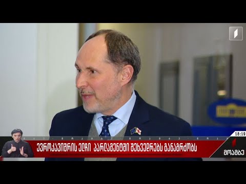 ევროკავშირის ელჩი პარლამენტში შეხვედრებს განაგრძობს