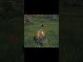 Good fight Elden ring