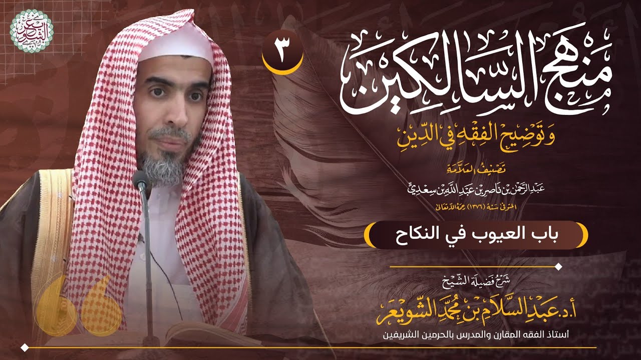 ٣. شرح منهج السالكين 