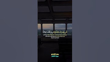 سعد الغامدي {سورة/الأنعام}#سعد_الغامدي #سورة_الأنعام #أن_الله_وملائكتة_يصلون_على_النبي #استغفرالله