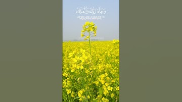 كلا إذا دكت الأرض دكا دكا | القارئ رعد الكردي سورة الفجر #شيخ_رعد_الكردى #quran #تلاوات #islamic