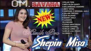 KOLEKSI SHEPIN MISA TERBARU OM SAVANA BLITAR NO IKLAN 💃🏼 PELAS TERI - WES OLEH GANTI