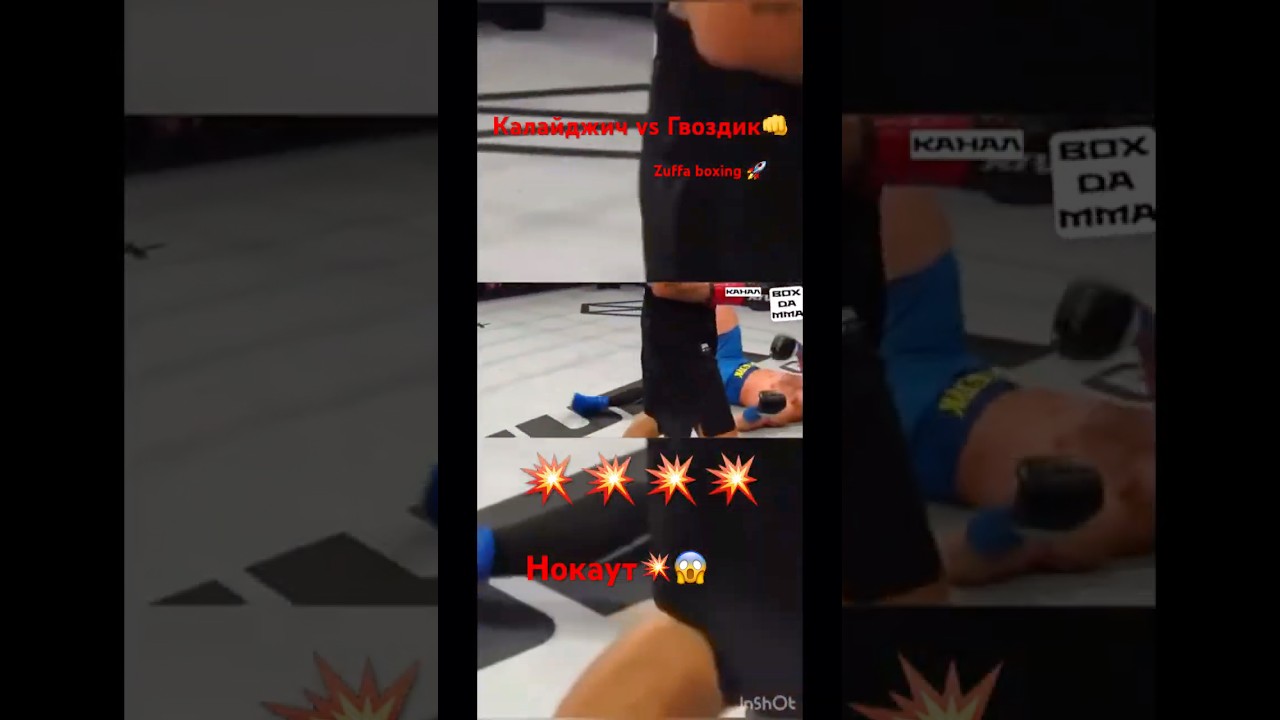 ⚡️Гвоздик в нокауте👊 Калайджич vs Гвоздик💥 