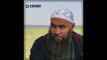Если пришёл запрет на мясо свиньи, дозволены ли оставшиеся её части, как сало и т.п? #ислам