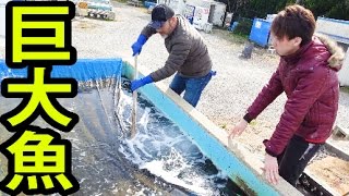 店長にお金を渡したら秘密の場所に案内された。【きまぐれクック×渥美拓馬】