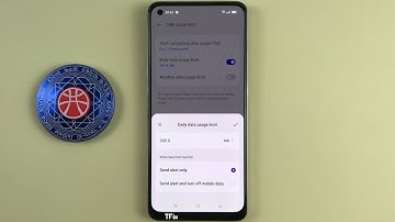 Data usage limit on OPPO Reno7 Android 13