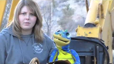 Dig Into Reading Summer 2013