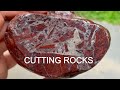 AMAZING JASPER RHYOLITE DETAILS!! | Cutting Rocks #4