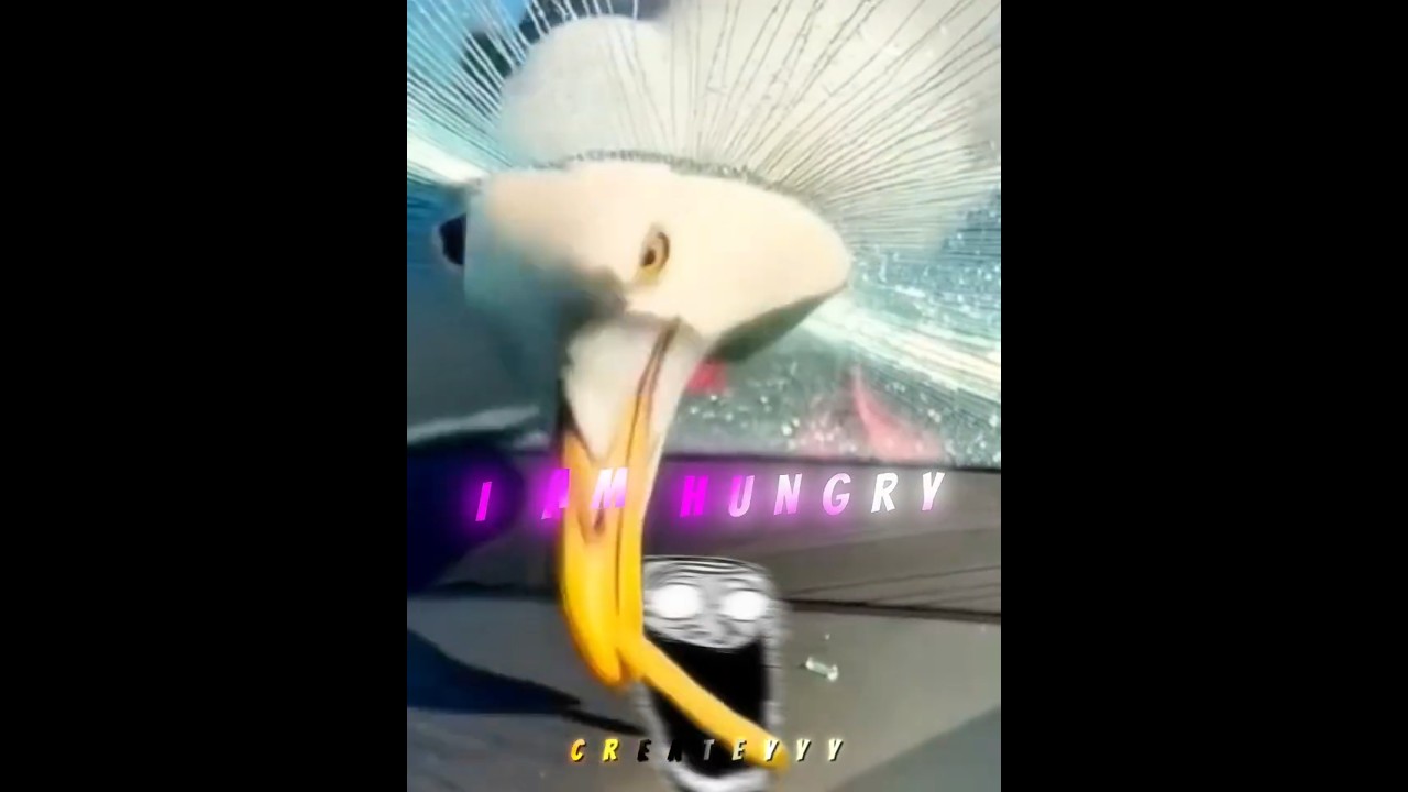 Angry + Hungry Bird = 🗿Destruction