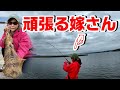 嫁さんにとって人生初の強烈な引きが‥【2キロアップ一部始終】エギング釣りsquid eging gopro