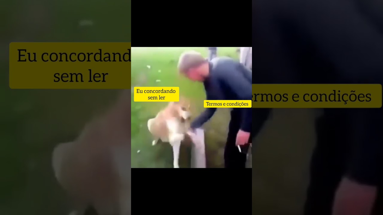 YouTube player