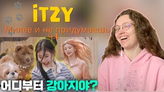 СЛИШКОМ МИЛО ❁ IT'ZZZ EP.09 | When cuties meet puppies