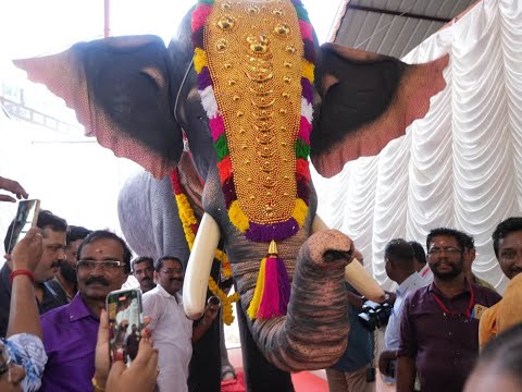 Welcome Baladhasan, a Mechanical Elephant!