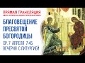 Аудиотрансляция богослужения: Благовещение Пресвятой Богородицы