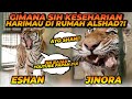 Eshan jinora bajak youtube alshad ahmad  ngapain aja ya mereka 