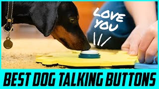 Top 5 Best Dog Talking Buttons for 2024