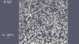 Microstructure analysis of new snow densification