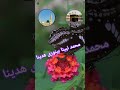 محمد نبینا بنوری اسلام      