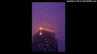 (free) nine vicious type x osamason type beat "abnormal" (15hundrd)