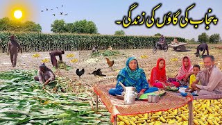 Punjabi Life | Woman Hardwork In Village | Mud House Life | Village Cooking | Traditional Life