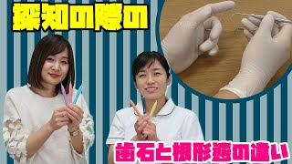 【探知の際に、歯石か根形態か形状の違いが分からない場合の確認方法について教えてください】今更聞けない歯科知識 新人歯科衛生士さんのためのお悩み相談室/森田久美子先生