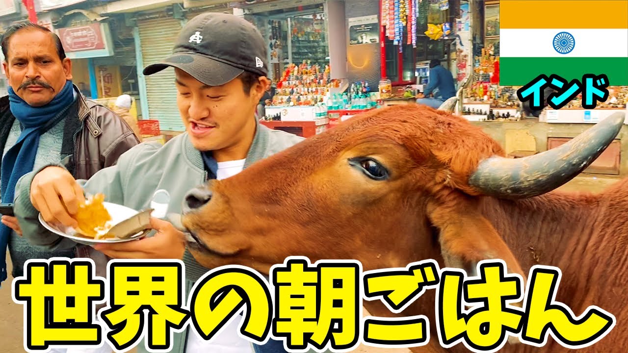 【カオス】常識がぶっ飛んだ国インドの朝食を食べてみた