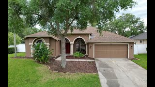 Tampa, FL Real Estate Photography - For Sale 18206 Stillwell Ln, Tampa, FL 33647