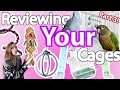 Reviewing Your Cages! Part 3 | Flock Talks