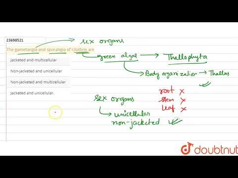 Video: Je gametangia reprodukčná štruktúra?