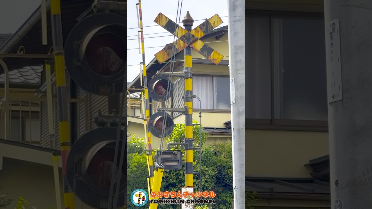 【踏切 電車】なにが通るかな???【ふみきりショート動画267】 #shorts