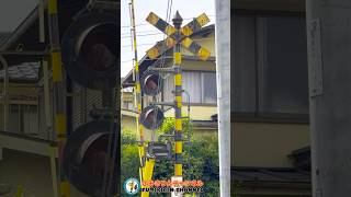 【踏切 電車】なにが通るかな???【ふみきりショート動画267】  #shorts