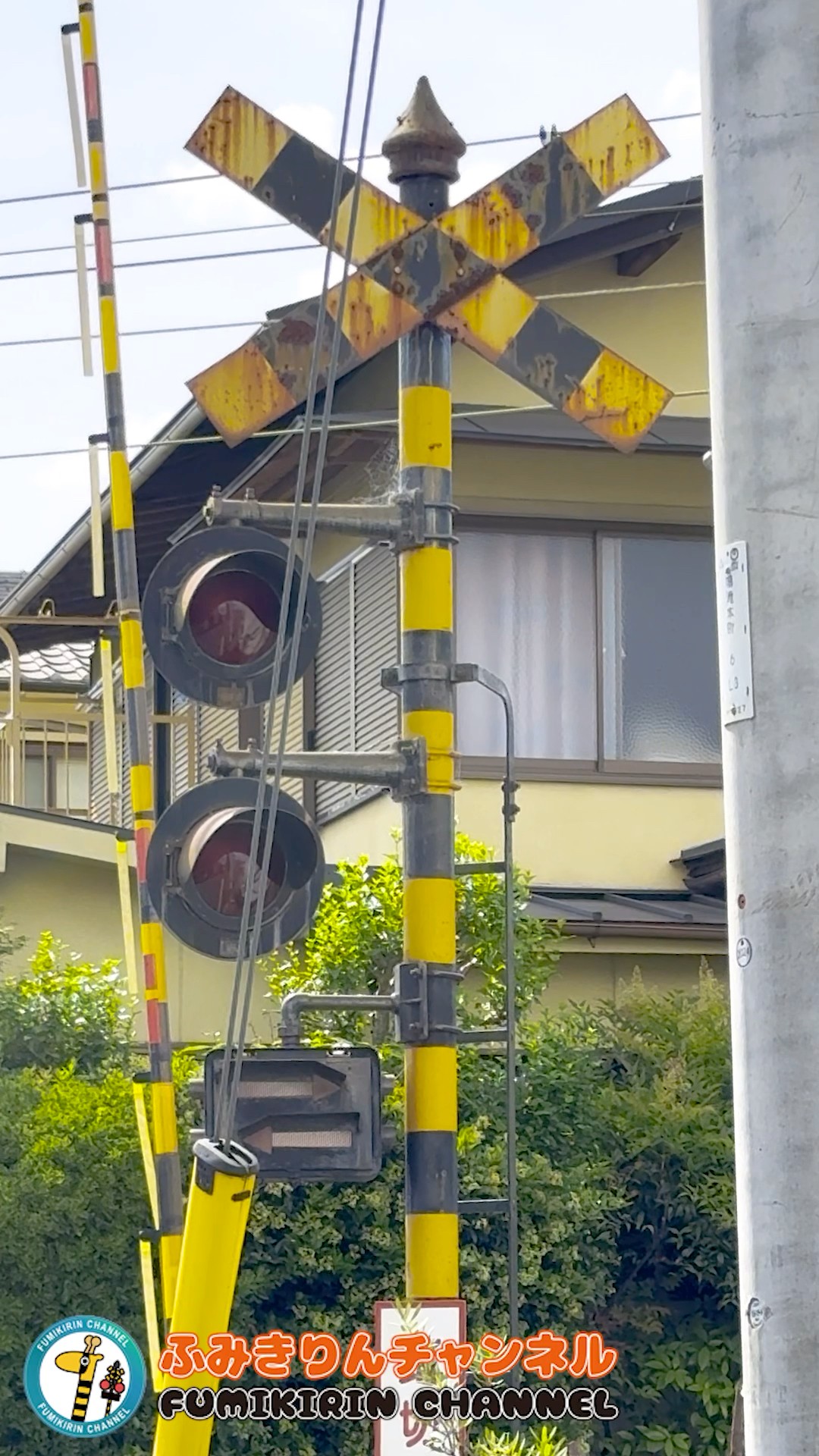 踏切 電車】なにが通るかな？？？【ふみきりショート動画267】 #shorts