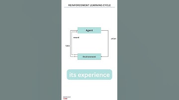 Reinforcement Learning Explained: The Science Behind Learning from Feedback