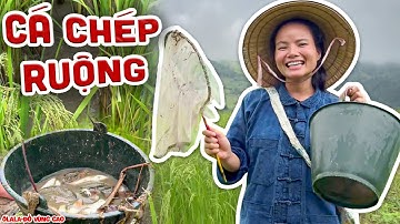 Cùng Mẹ Shan Tuyết Đi Bắt Cá Chép Ruộng Và Chế Biến Món Ngon Nha | Ôlala-Đồ Vùng Cao