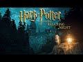 Dreams of Hogwarts✨Watching the Moon with your Owl [Ambience & Soft Music] Relaxing Night at Forest