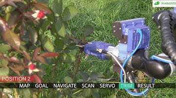 Integrated Rose Bush Trimming