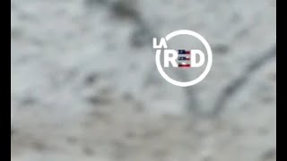 La Red - Logo Especial por el 4 de Julio (Estados Unidos)