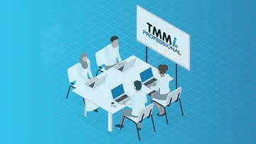 TMMI Foundation   TMMi Professional