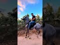 ماشاءالله الفحل يد واحدة خيل فرس حصان Shorts Horse