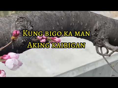 TANGING KAY JESUS