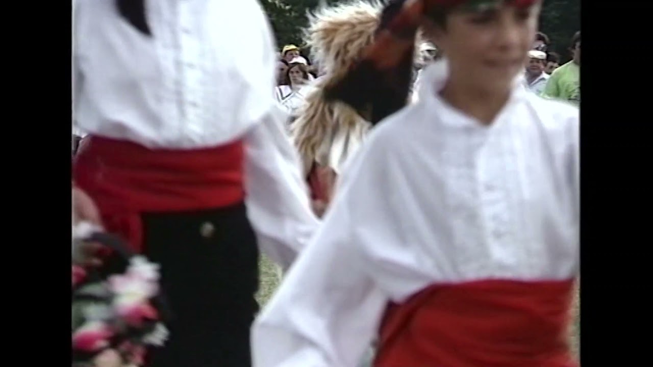 Ferreruela (Zamora). Día de la comarca alistana, 1990