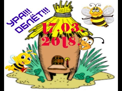 А у нас ДОЛГОЖДАННЫЙ облёт!!! 17 марта 2018г.
