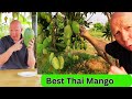 Thailand Mango | Your guide: Names, Varieties, Best - 2 Michelin Star | I Chef Richard #thailand