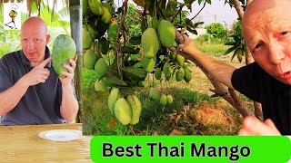 Thailand Mango | Your guide: Names, Varieties, Best  2 Michelin Star | I Chef Richard #thailand