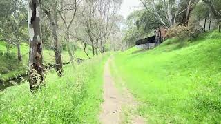 Darebin Creek 4K HDR Walk, Ivanhoe- Peaceful Melbourne Nature Escape 2025
